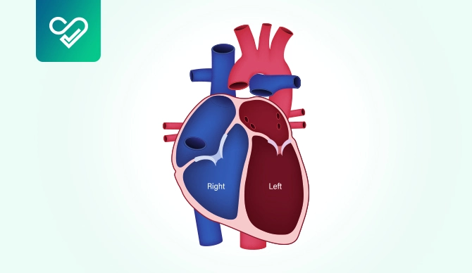 left vs right sided heart failure