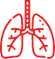 Systemic and Pulmonary Hypertension