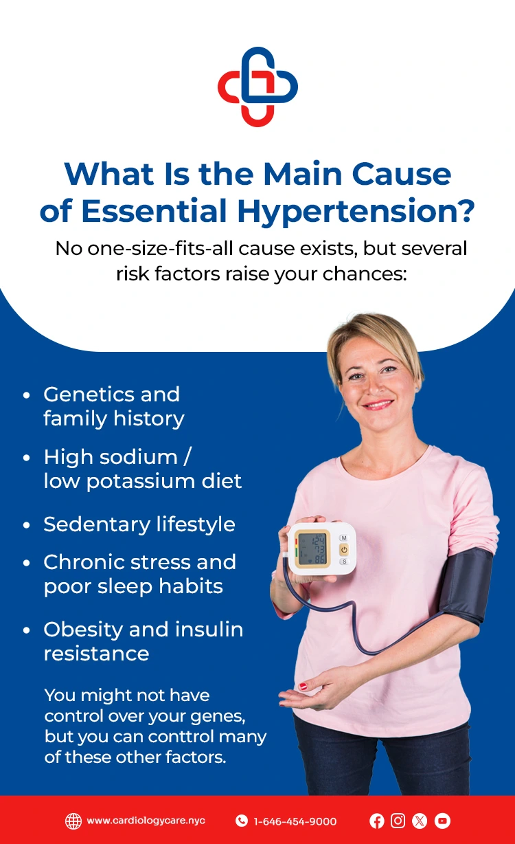 What Is the Main Cause of Essential Hypertension